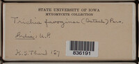 Image Associated With the Occurence